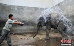 38℃热浪席卷山东济南